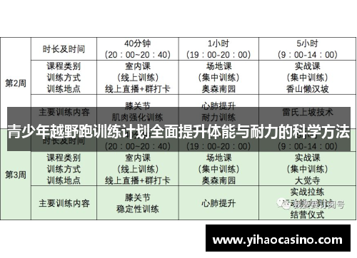 青少年越野跑训练计划全面提升体能与耐力的科学方法